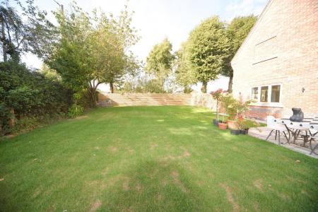 Garden 2.jpg
