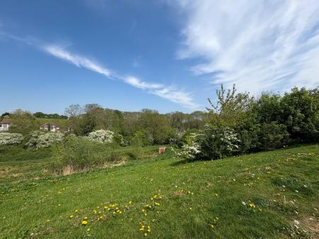 view across the road.jpg