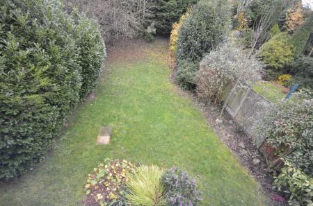 garden.jpg