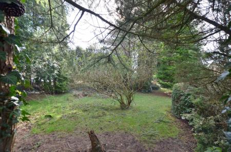 Ireton Wood Garden.JPG