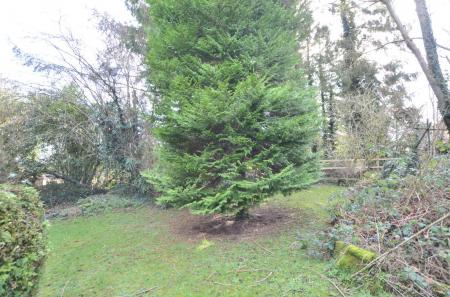 Ireton Wood Garden1.JPG