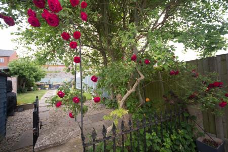 Garden.jpg