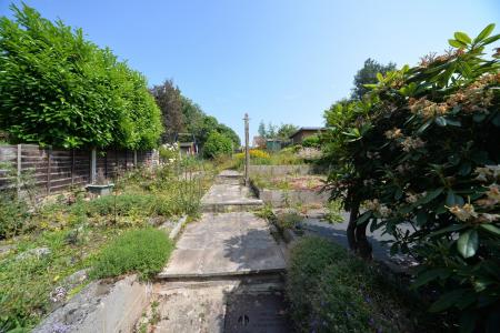 Garden.jpg
