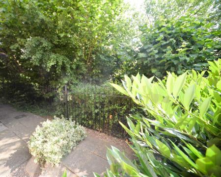 Front Path.jpg