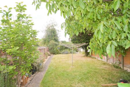 Garden.jpg