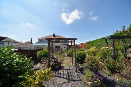 Garden.jpg