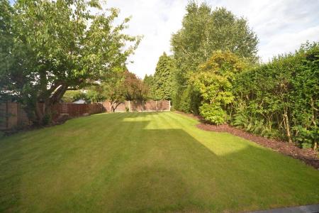 Garden 2.jpg