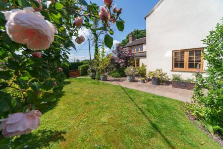 Garden 3.JPG