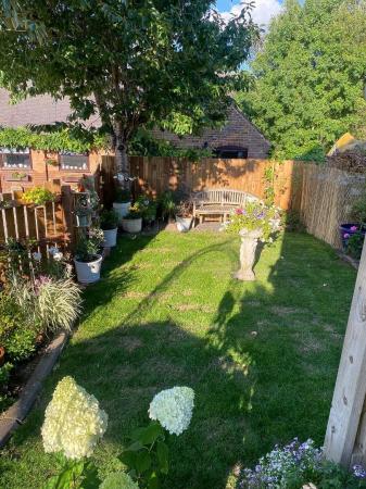 Garden 2.jpg