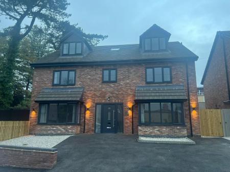 Briar PHOTO-2024-10-25-18-02-16.jpg