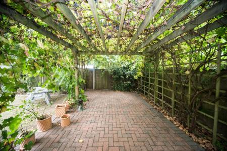 Pergola with vine.jpg