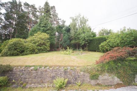 Garden to side of drive.jpg