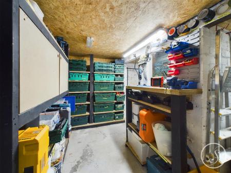 Cellar