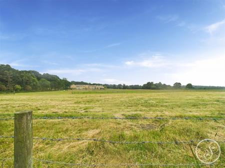 CAM02071G0-PR0637-STILL052.jpg