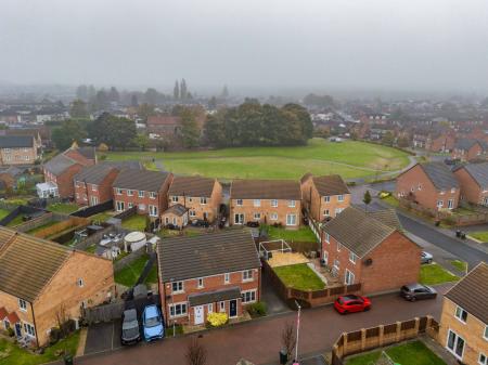 image25
