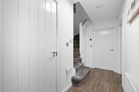 image11