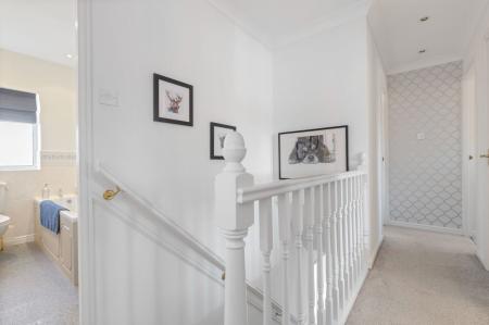image11