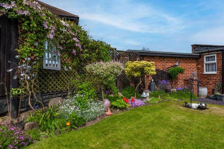 image26
