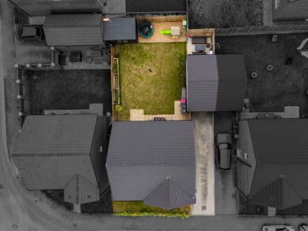 image29