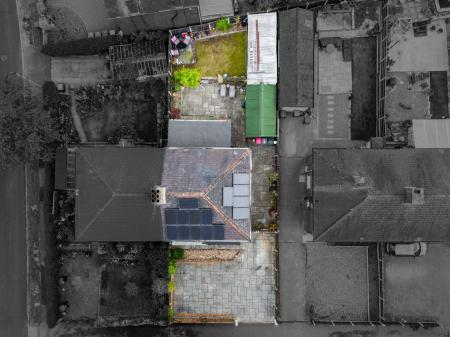 image29
