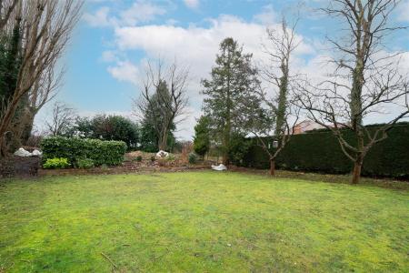 Garden-6.jpg