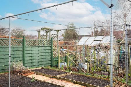 Veg Patch-2.jpg