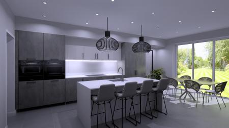 House 4 - Kitchen perspective.jpg