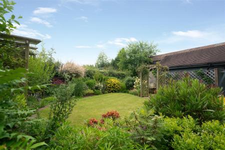 Garden-3.jpg