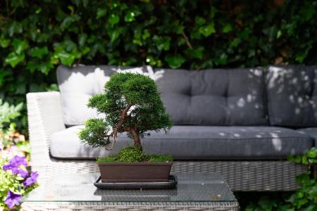 Garden-12.jpg