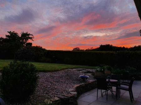 20210614_214150.jpg