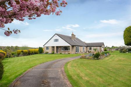 Externals-5 copy.jpg