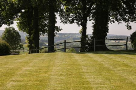 Garden6.jpg