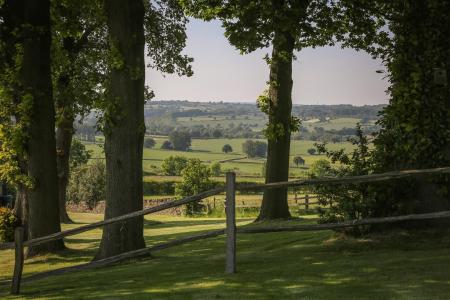 Garden7.jpg