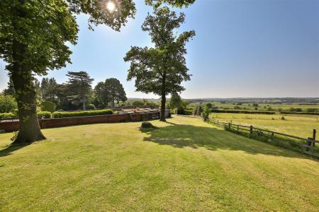 Garden3.jpg