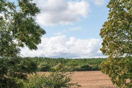 Bedroom view.jpg