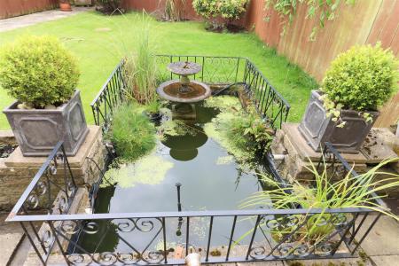 Water Feature/Pond