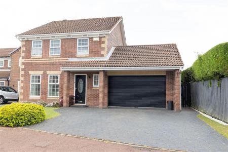Front External