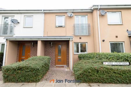 Front External