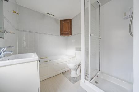 1254836  (12).jpg
