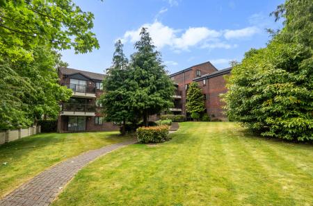 1300675-38-683749...