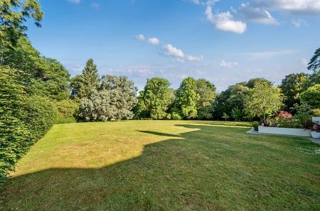 1310542-4-684fc2f...