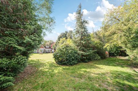 1355829-50-68d152...