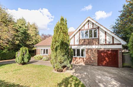 1355829-51-68d152...