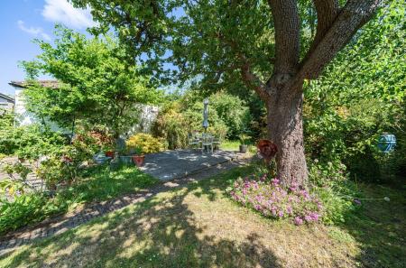 1296225-6-6824986...