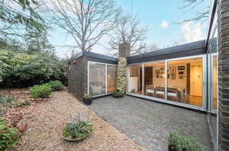 1388590-55-694312...