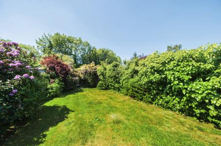 1290380-50-682731...