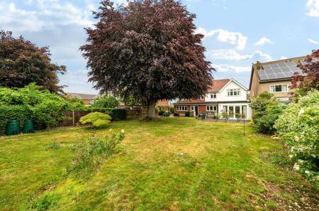 1295884-16-6835d9...