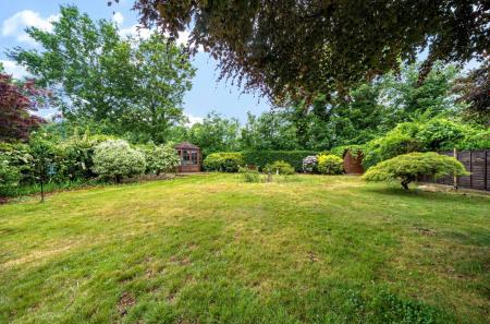 1295884-14-6835d8...