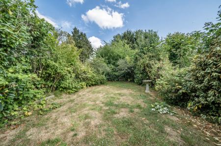 1318901-17-686555...