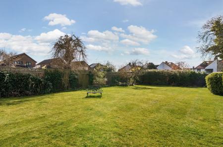 Communal Garden